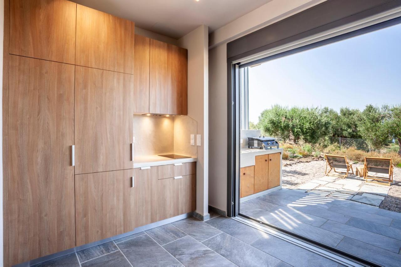 Alterra Vita Eco Villas Neos Marmaras Exterior photo